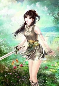 《龙图案卷集·续》