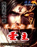 不死亡灵圣主