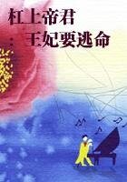 《妃君則嫁:落跑王妃【完本】》