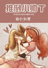 推倒小帅T