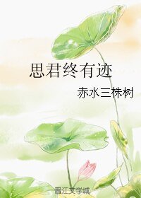 《思君终有迹》