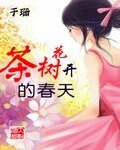 《茶树花开的春天》