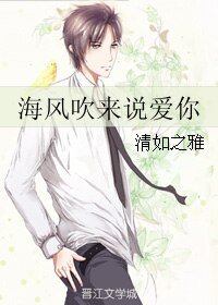 海风吹来说爱你