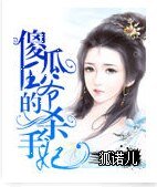 《傻瓜王爷的杀手妃》