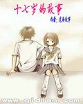 《十七岁的故事》