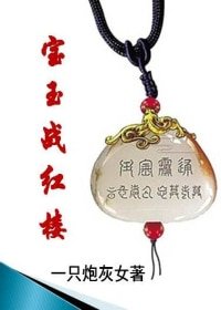 《(BG-红楼同人)宝玉战红楼》