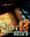 《魔法師與龍》