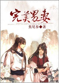 完美男妻