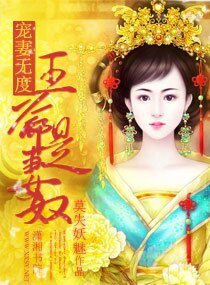 《宠妻无度一王爷是妻奴》