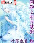 《网游之附身紫狼一族》