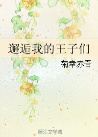 《(网王同人)邂逅我的王子们》