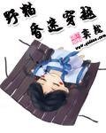 《野貓昏迷穿越》