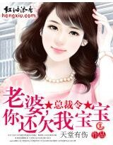 《总裁令:老婆,你还欠我宝宝》