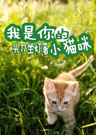 《我是你的小貓咪》