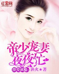 《撩愛成癮:帝少寵妻夜夜忙》