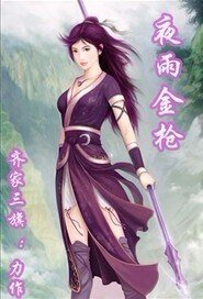 《夜雨金枪》