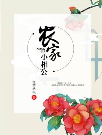 《農家小相公》