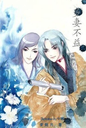 多妻不益