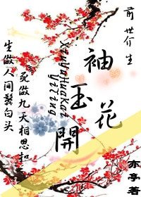 《前世今生袖玉花開》