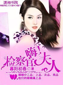 《名門第一夫人/嗨,檢察官夫人》