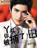 《危險總裁:丫頭你被捕了/星動煙火》
