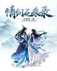 《情劍花痕錄》