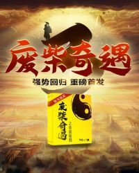 《废柴奇遇3之命运轮回》