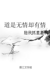 《(BG/四大名捕同人)道是无情却有情》