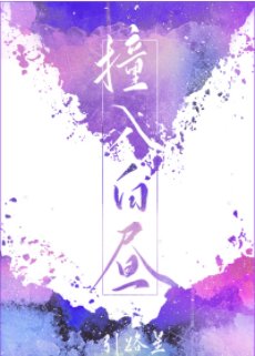 《撞入白昼》