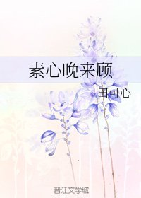 《素心晚來顧》