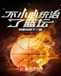 《不小心统治了篮坛》
