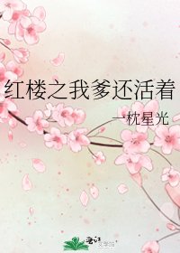 （红楼梦同人）红楼之我爹还活着