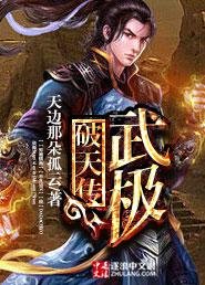 《武极破天传》