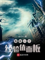 《我有一個經驗值面板》