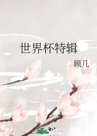 《世界盃特輯》