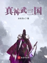 《真神武三国》