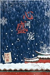 《心间盛宠》