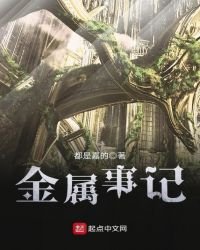 《金屬事記》