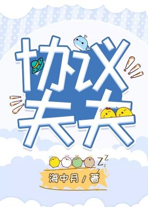 《协议夫夫》