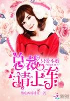 《只爱不婚:总裁请上车》