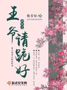《清穿之王爺請跪好》