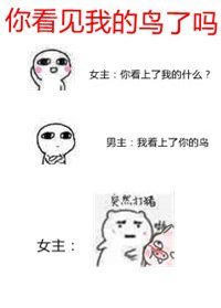 《你看見我的鳥了嗎(校對版)》