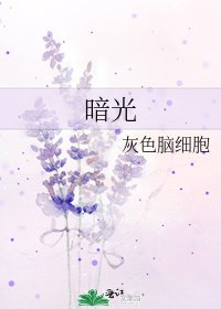 《暗光》