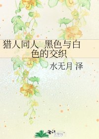 《猎人同人 黑色与白色的交织》