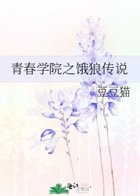 《青春学院之饿狼传说》