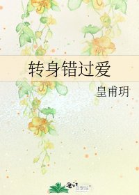 《转身错过爱》