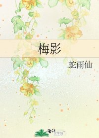 《梅影》