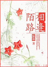 《陌路相逢》