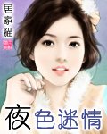 《夜色迷情》