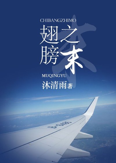 《翅膀之末》